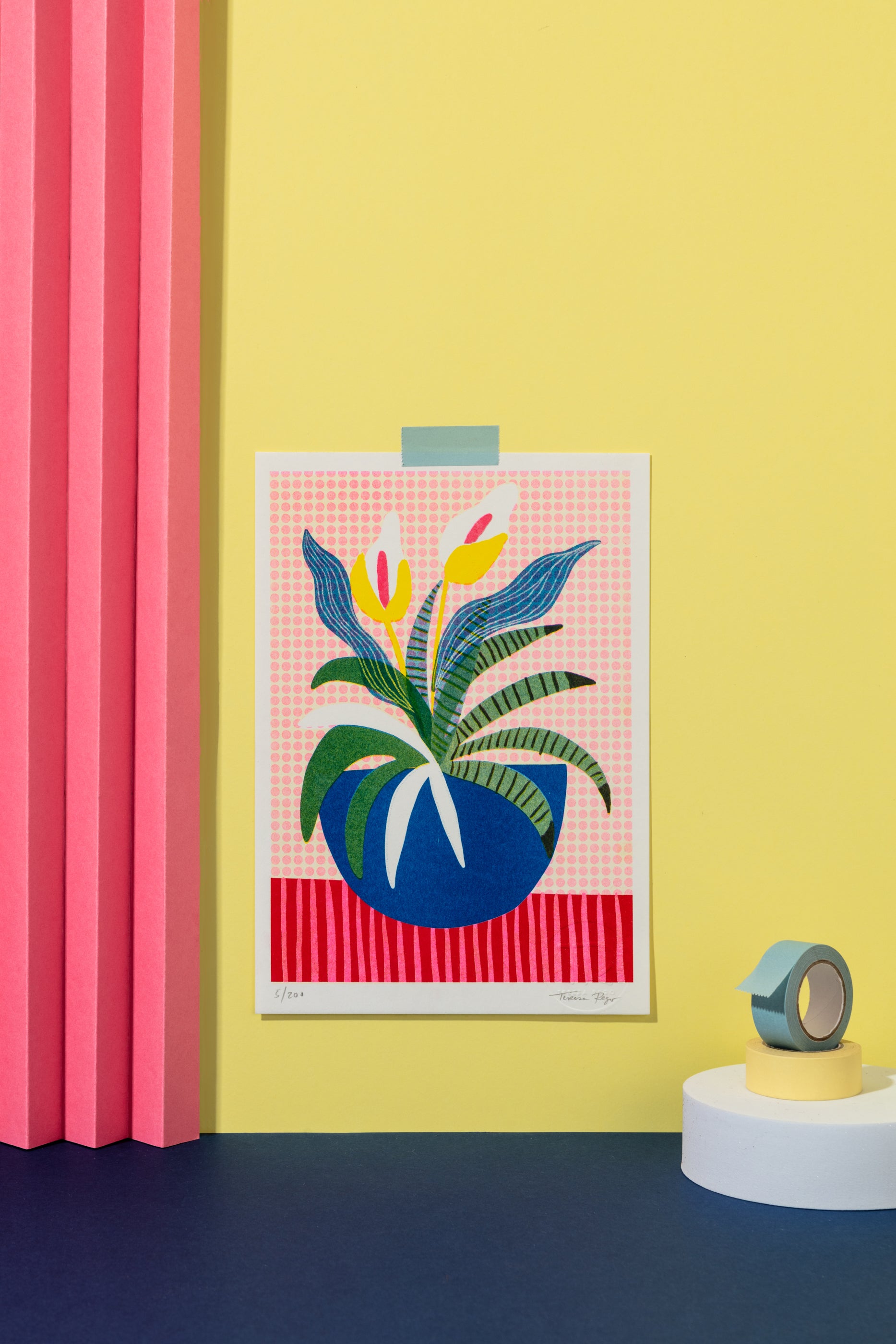 Illustrated Risoprints by Teresa Rego | Teresa Rego Studio